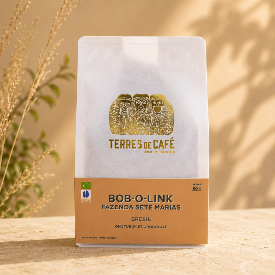 Brésil Bob-O-Link — Terres de Café, café de spécialité