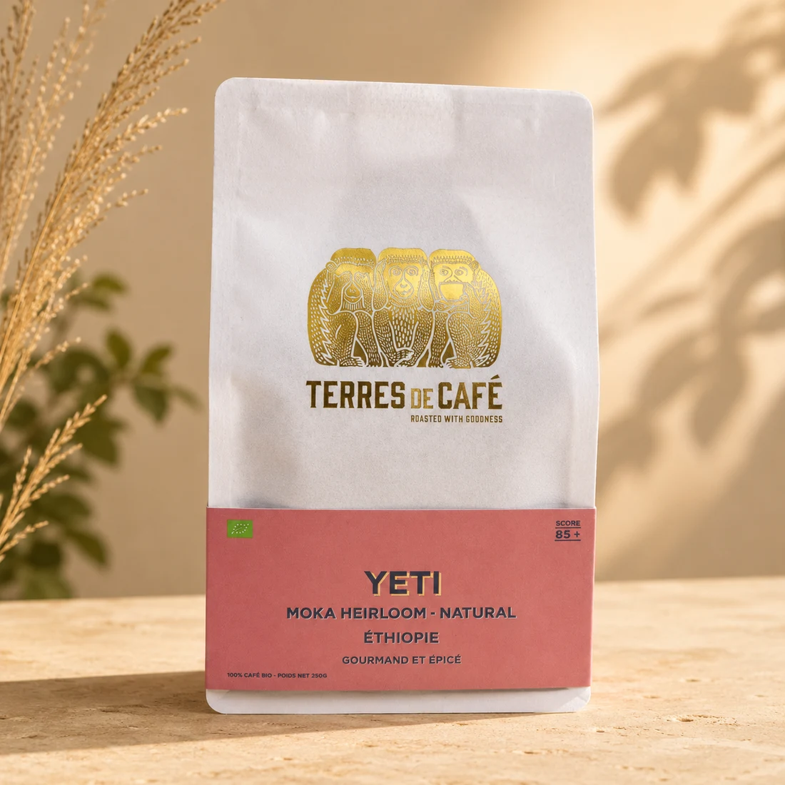 Éthiopie Yeti