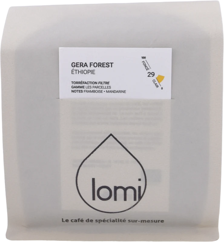 Gera Forest Honey BIO