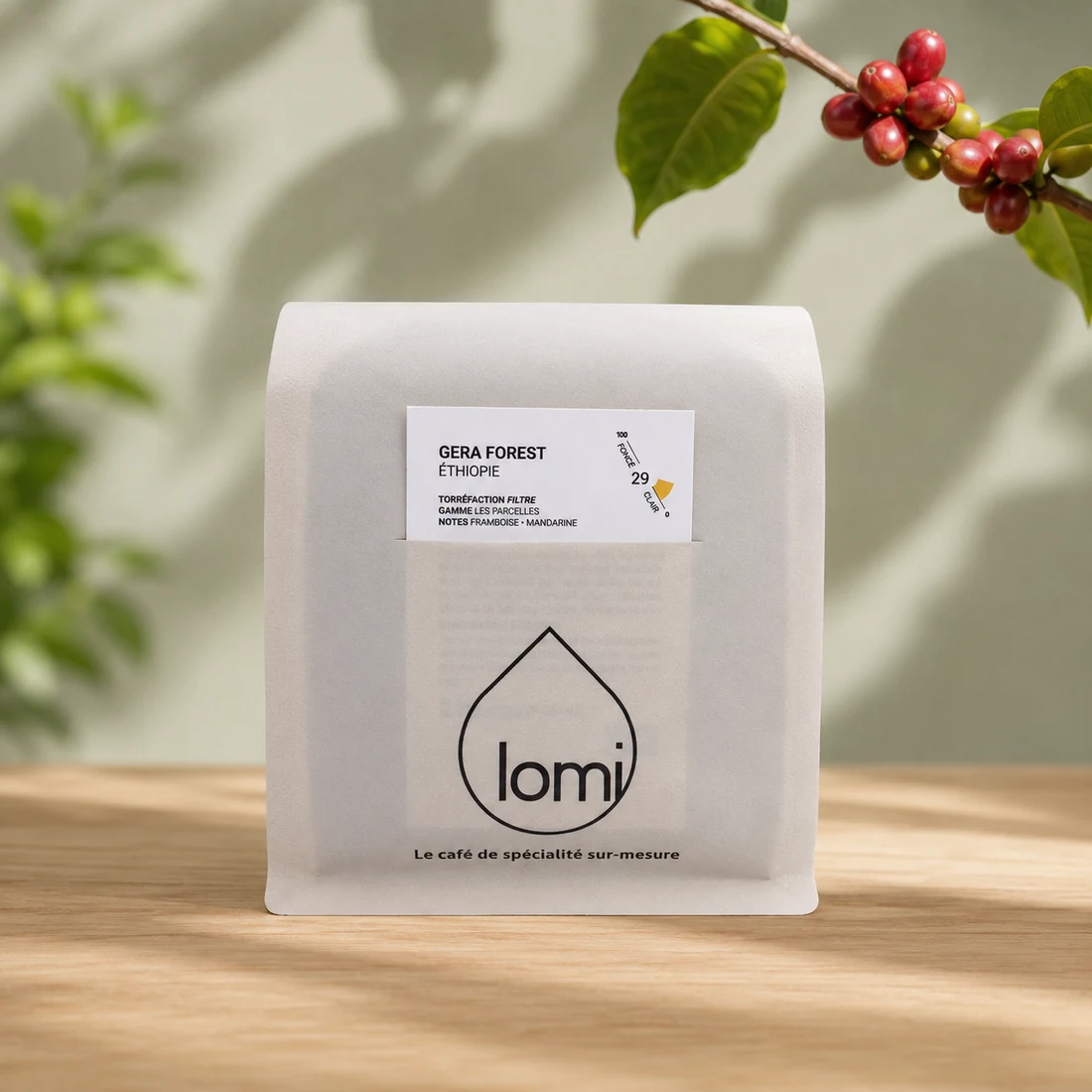 Gera Forest Honey BIO